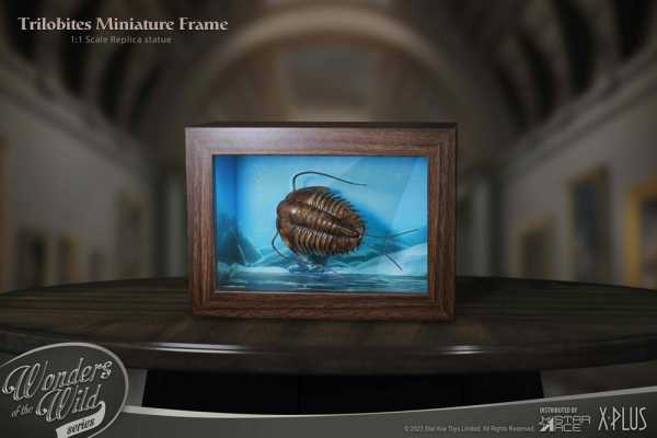 Wonders of the Wild Series 1/1 Trilobites Miniature Frame 15 cm Statue