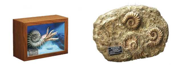 Wonders of the Wild Series 1/1 Nautilus Miniature Frame & Fossil 15 cm Statue