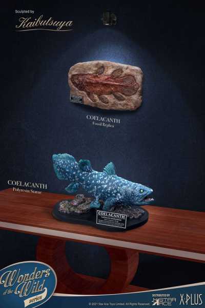 Wonders of the Wild Coelacanth Statue Deluxe Version
