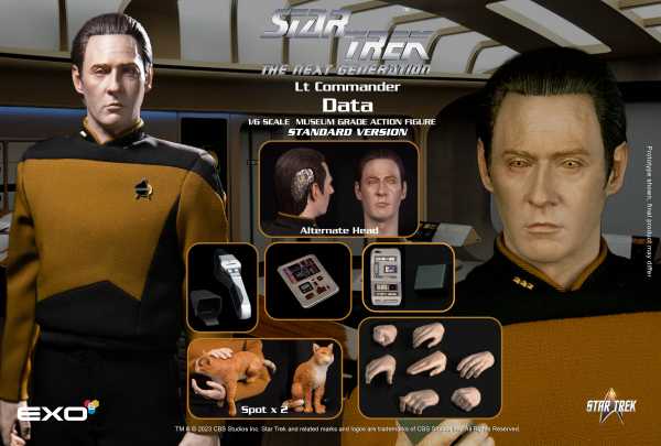 VORBESTELLUNG ! Star Trek: The Next Generation Lieutenant Commander Data 1:6 Actionfigur Standard V.