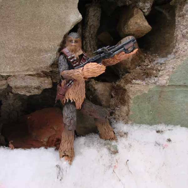 Chewbacca - Collector's Edition Actionfigur Exclusive